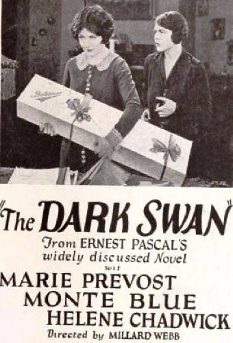 The Dark Swan