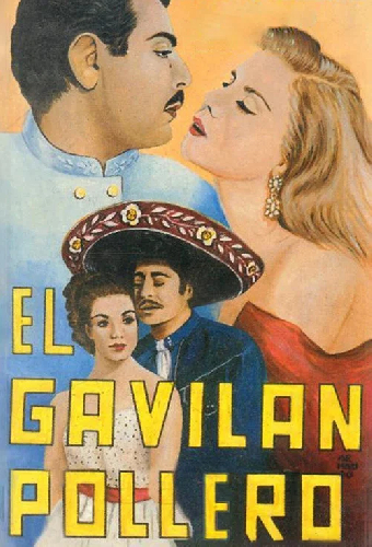 El gavilán pollero