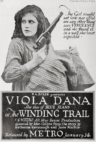The Winding Trail