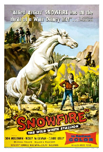 Snowfire