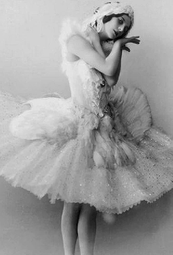 The Immortal Swan