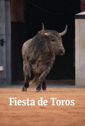 Fiesta de toros