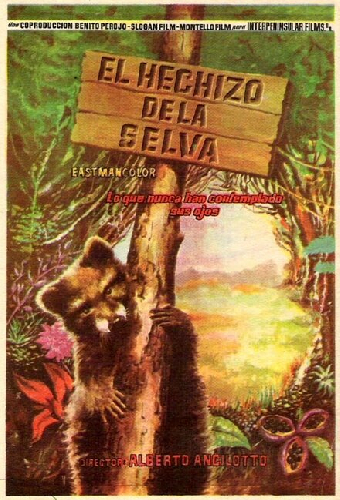 L'incanto della foresta