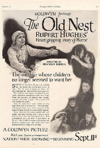 The Old Nest