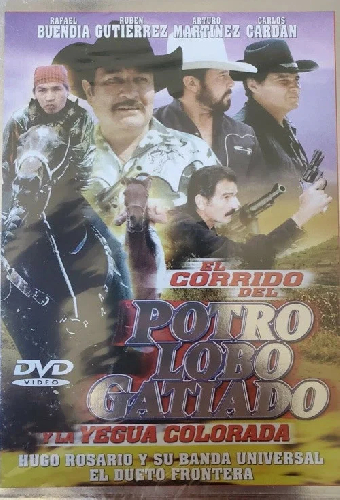 Corrido del potro lobo gatiado y la yegua colorada