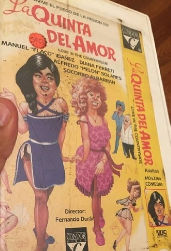 La quinta del amor