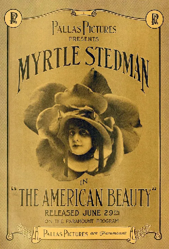 The American Beauty