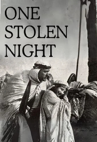 One Stolen Night