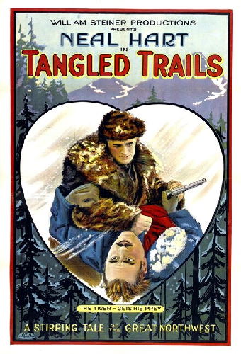Tangled Trails