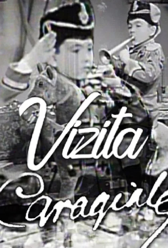 Vizita