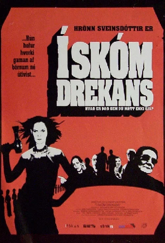 Í skóm drekans