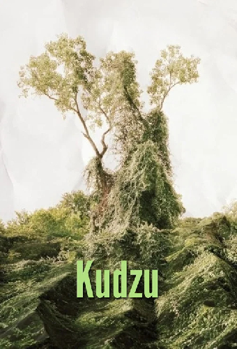 Кудзу