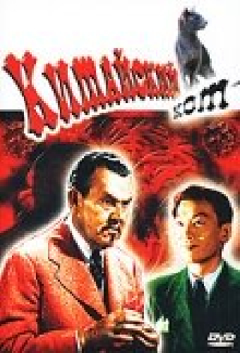 Китайский кот
