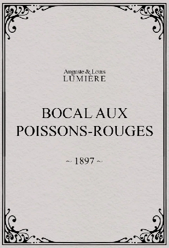 Bocal aux poissons rouges
