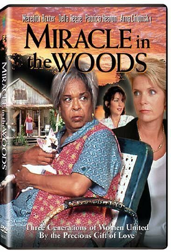 Miracle in the Woods