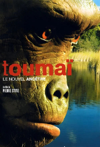 Toumai - Urahn der Menschheit