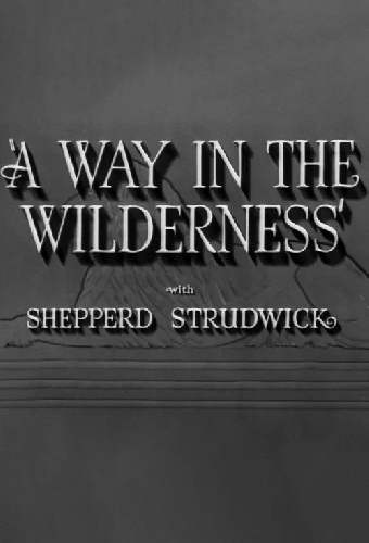 A Way in the Wilderness
