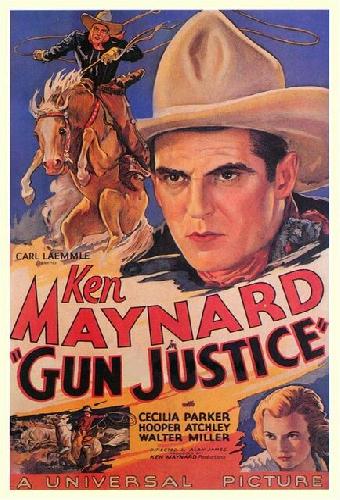 Gun Justice