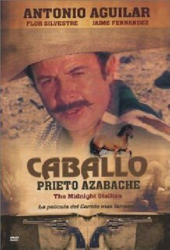 Caballo prieto azabache