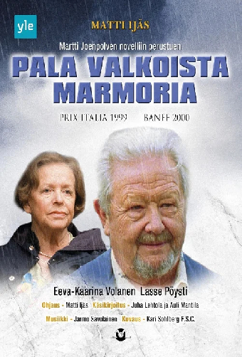 Pala valkoista marmoria