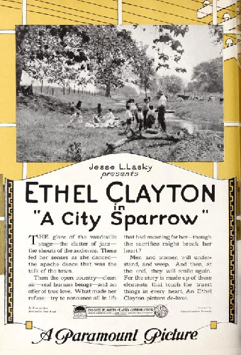 A City Sparrow