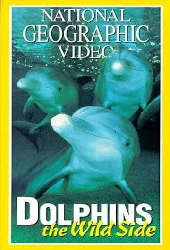 Dolphins: The Wild Side