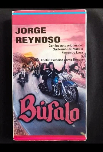 Bufalo