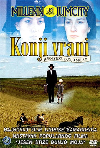 Чёрные лошади