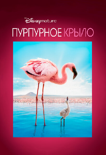 Пурпурное крыло