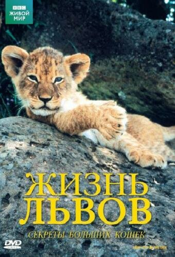 BBC: Жизнь львов