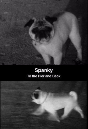 Spanky: To the Pier and Back