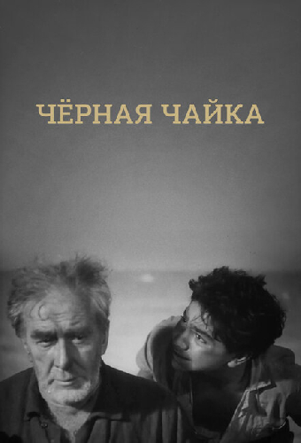 Черная чайка