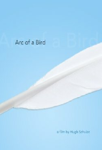 Arc of a Bird