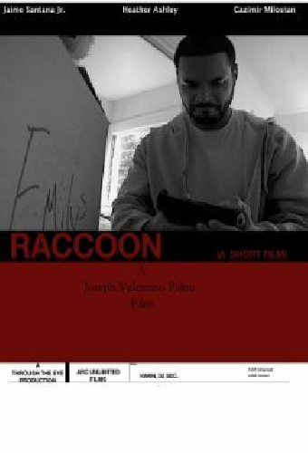 Raccoon