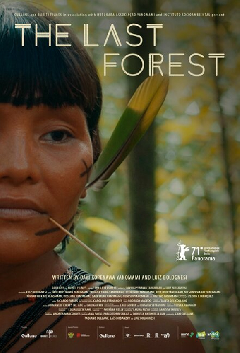 A Última Floresta