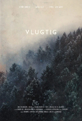 Vlugtig