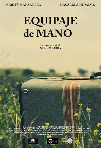 Equipaje de mano