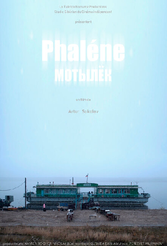 Мотылёк