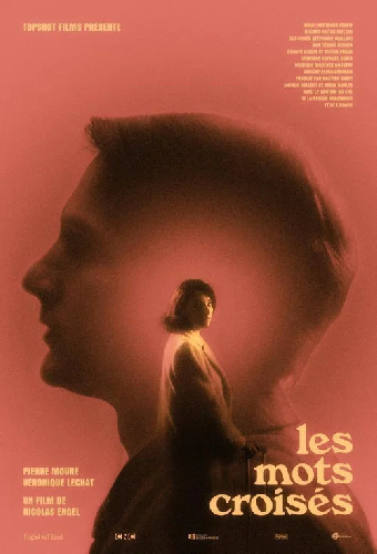 Les mots croisés