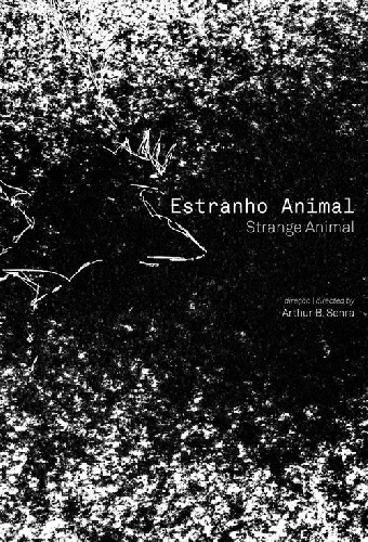 Estranho Animal