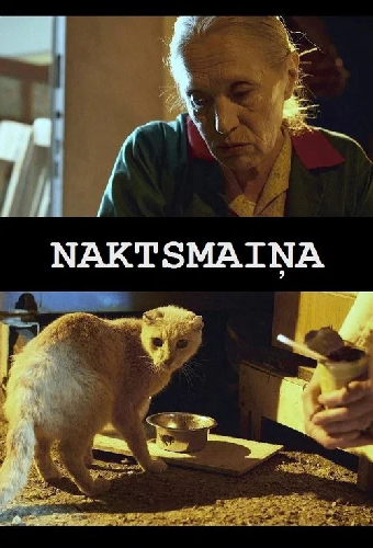 Naktsmaiņa