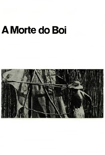 A Morte do Boi