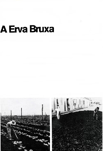 A Erva Bruxa