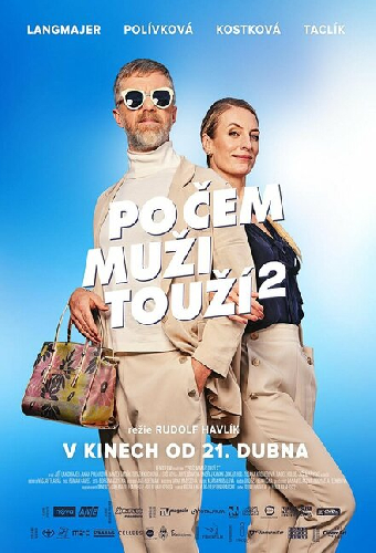 Po čem muži touží 2