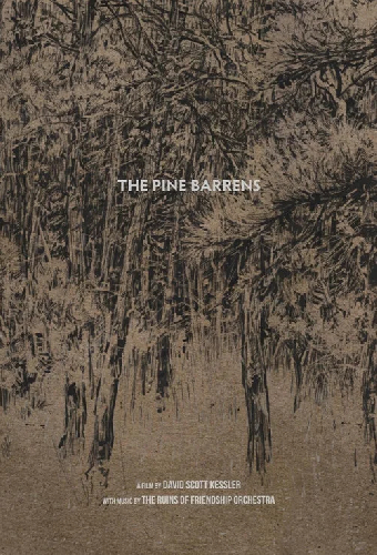 The Pine Barrens