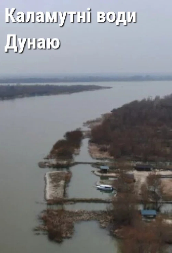 Мутные воды Дуная