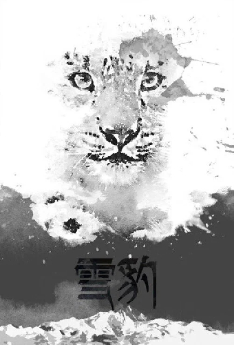 雪豹