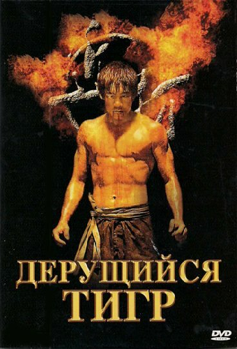 Дерущийся тигр