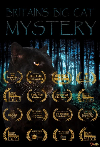 Britain's Big Cat Mystery