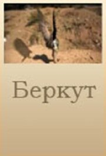 Беркут